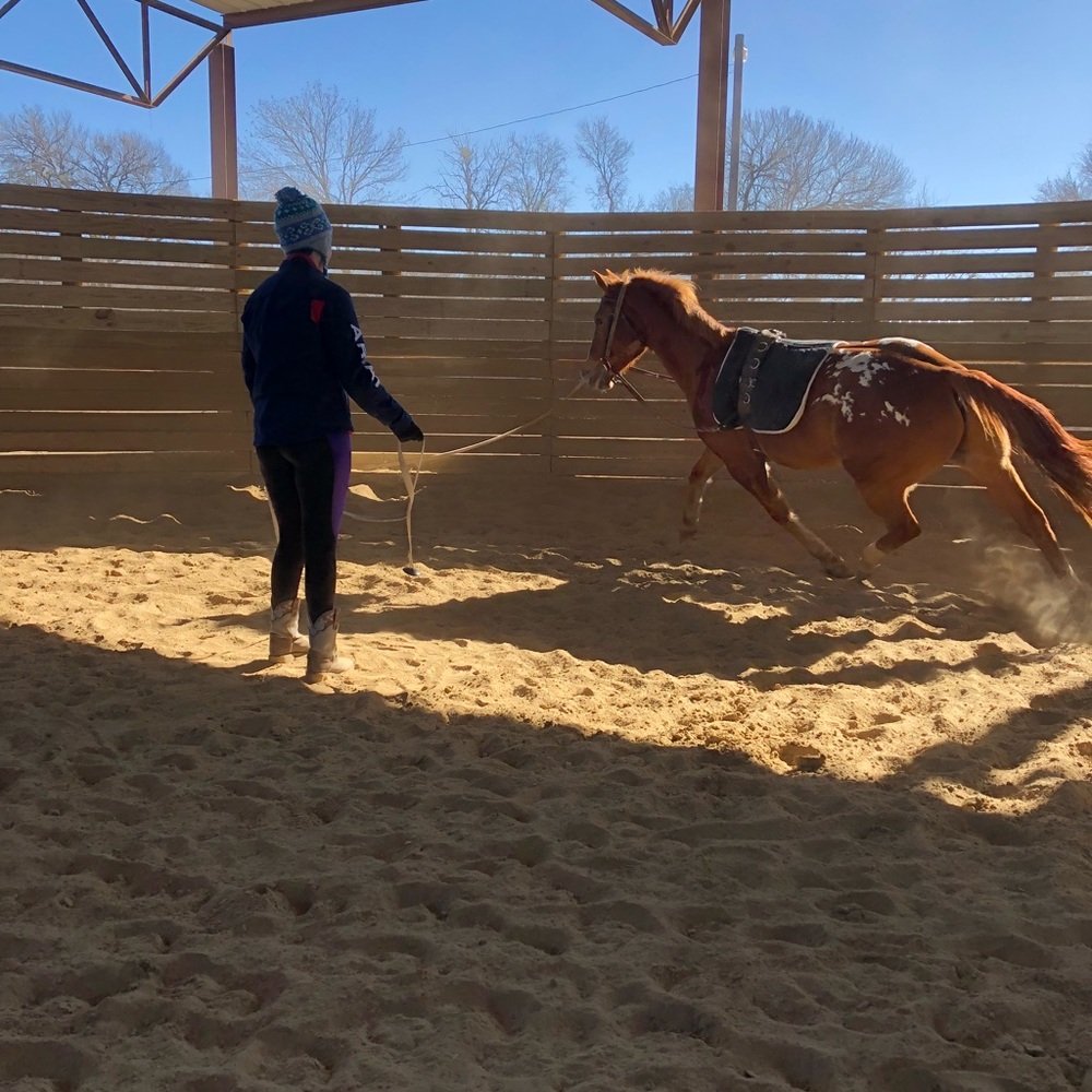 Meet your Posher, Jem